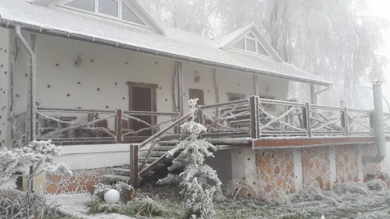 Panorama Hotel&SPA Chernivtsi Bagian luar foto