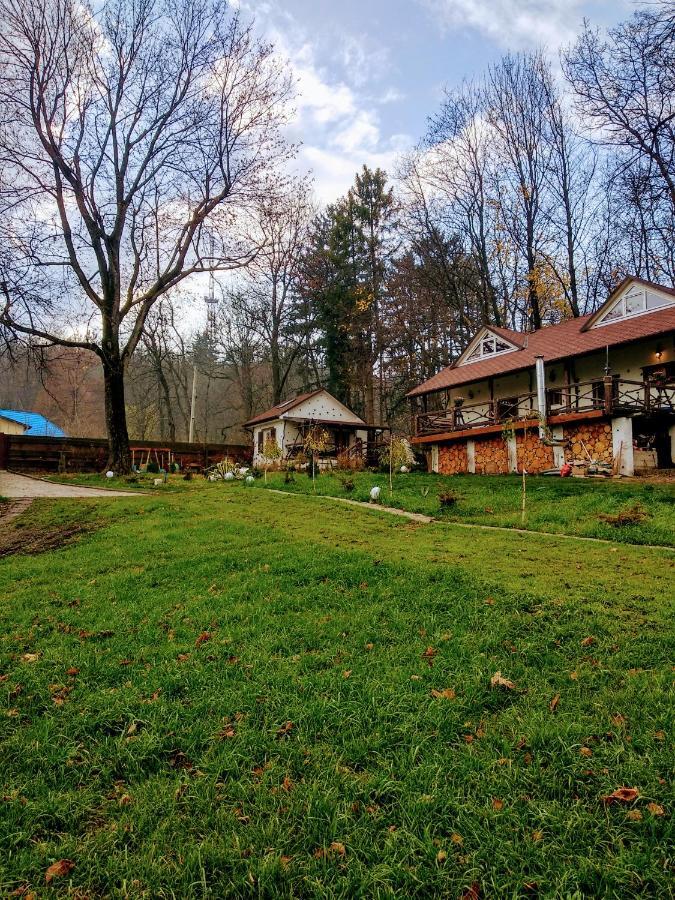 Panorama Hotel&SPA Chernivtsi Bagian luar foto